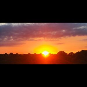 Meet your Posher, Felix